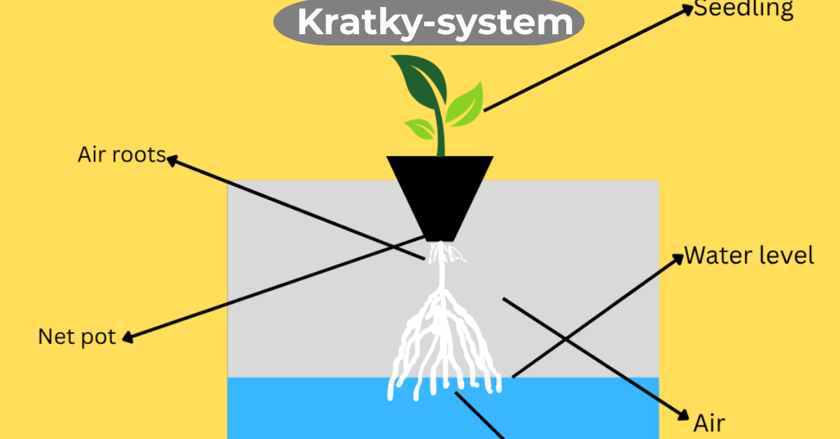 Labeled diagram of a basic Kratky hydroponic setup using a bucket, showing the lid, net cup with a seedling, roots growing downward, and nutrient solution below.